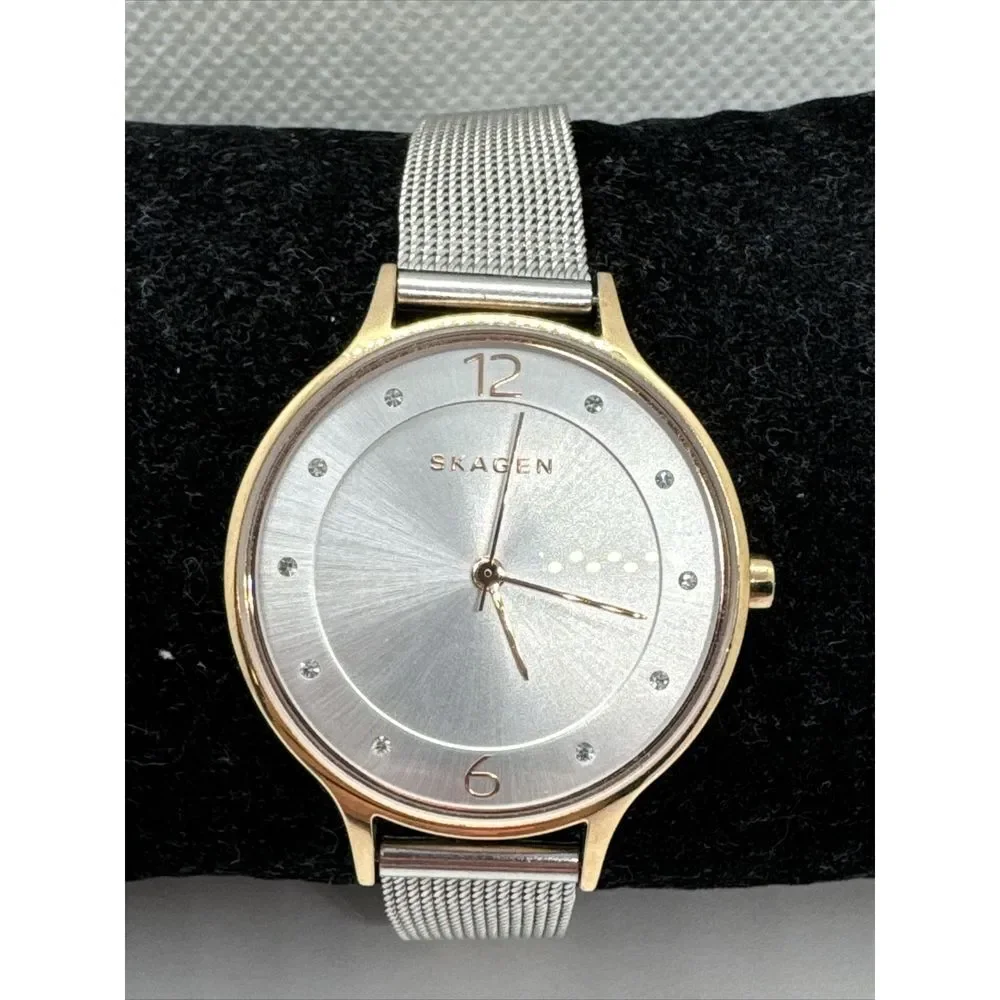 Skagen SKW2397 Men's Silver Stainless Steel Mesh Analog Dial Quartz Watch JNA979